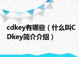 cdkey有哪些（什么叫CDkey簡(jiǎn)介介紹）