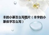 豐的小篆怎么寫(xiě)圖片（豐字的小篆體字怎么寫(xiě)）