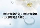 相忘于江湖含義（相忘于江湖是什么意思簡介介紹）