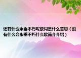 還有什么永垂不朽呢歌詞是什么意思（沒有什么會永垂不朽什么歌簡介介紹）