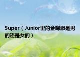 Super（Junior里的金唏澈是男的還是女的）