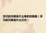 浮沉的兄弟是什么電影的插曲（浮沉的兄弟是什么方言）