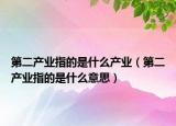 第二產(chǎn)業(yè)指的是什么產(chǎn)業(yè)（第二產(chǎn)業(yè)指的是什么意思）