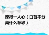 愿得一人心（白首不分離什么意思）
