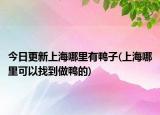 今日更新上海哪里有鴨子(上海哪里可以找到做鴨的)