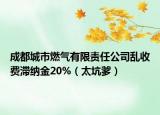 成都城市燃?xì)庥邢挢?zé)任公司亂收費(fèi)滯納金20%（太坑爹）