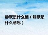 靜默是什么梗（靜默是什么意思）