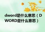 dword是什么意思（DWORD是什么意思）