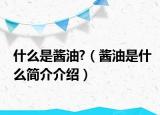 什么是醬油?（醬油是什么簡介介紹）