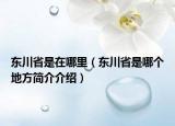 東川省是在哪里（東川省是哪個地方簡介介紹）