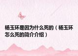 楊玉環(huán)是因?yàn)槭裁此赖模钣癍h(huán)怎么死的簡(jiǎn)介介紹）