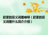 趕緊的反義詞是啥呀（趕緊的反義詞是什么簡(jiǎn)介介紹）