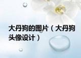 大丹狗的圖片（大丹狗頭像設(shè)計(jì)）