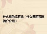 什么樣的泥石流（什么是泥石流簡(jiǎn)介介紹）