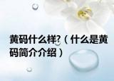 黃碼什么樣?（什么是黃碼簡介介紹）