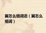 翼怎么組詞語（翼怎么組詞）