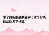 求個(gè)好聽的戰(zhàn)隊(duì)名字（求個(gè)好聽的戰(zhàn)隊(duì)名字格式）