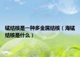 錳結核是一種多金屬結核（海錳結核是什么）