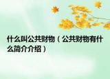什么叫公共財物（公共財物有什么簡介介紹）