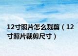 12寸照片怎么裁剪（12寸照片裁剪尺寸）