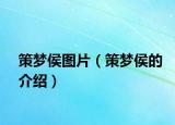 策夢(mèng)侯圖片（策夢(mèng)侯的介紹）