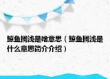 鯨魚擱淺是啥意思（鯨魚擱淺是什么意思簡(jiǎn)介介紹）