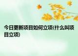 今日更新項(xiàng)目如何立項(xiàng)(什么叫項(xiàng)目立項(xiàng))