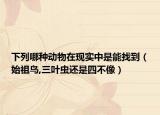 下列哪種動物在現(xiàn)實中是能找到（始祖鳥,三葉蟲還是四不像）