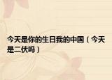 今天是你的生日我的中國（今天是二伏嗎）