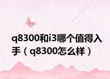 q8300和i3哪個(gè)值得入手（q8300怎么樣）