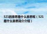 521的意思是什么意思呢（521是什么意思簡介介紹）
