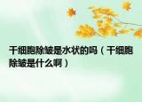 干細胞除皺是水狀的嗎（干細胞除皺是什么啊）
