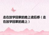 走在放學回家的路上讀后感（走在放學回家的路上）