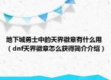 地下城勇士中的天界徽章有什么用（dnf天界徽章怎么獲得簡(jiǎn)介介紹）
