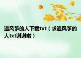 追風(fēng)箏的人下載txt（求追風(fēng)箏的人txt謝謝啦）