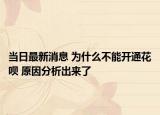 當(dāng)日最新消息 為什么不能開通花唄 原因分析出來了