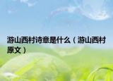 游山西村詩意是什么（游山西村原文）