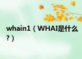 whain1（WHAI是什么?）