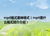 mp4格式是啥格式（mp4是什么格式簡介介紹）