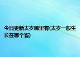 今日更新太歲哪里有(太歲一般生長(zhǎng)在哪個(gè)省)