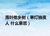 落葉他鄉(xiāng)樹（寒燈獨夜人 什么意思）