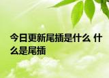 今日更新尾插是什么 什么是尾插