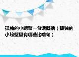 孤獨(dú)的小螃蟹一句話概括（孤獨(dú)的小螃蟹里有哪些比喻句）