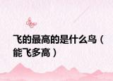 飛的最高的是什么鳥（能飛多高）