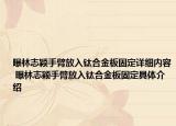 曝林志穎手臂放入鈦合金板固定詳細(xì)內(nèi)容 曝林志穎手臂放入鈦合金板固定具體介紹