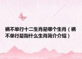 禍不單行十二生肖是哪個生肖（禍不單行是指什么生肖簡介介紹）