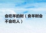 會吃羊的樹（食羊樹會不會吃人）