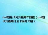 dnf粉色卡片升級哪個賺錢（dnf粉卡升級喂什么卡簡介介紹）