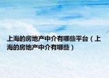 上海的房地產(chǎn)中介有哪些平臺(tái)（上海的房地產(chǎn)中介有哪些）