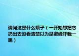 請(qǐng)問這是什么蛾子（一開始想把它扔出去沒看清楚以為是蜜蜂嚇我一跳）